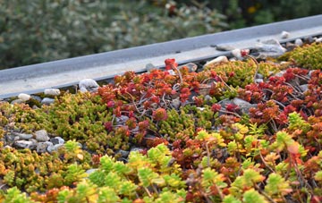 the cost of Trawsnant green roof installation