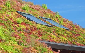 Trawsnant living roof systems